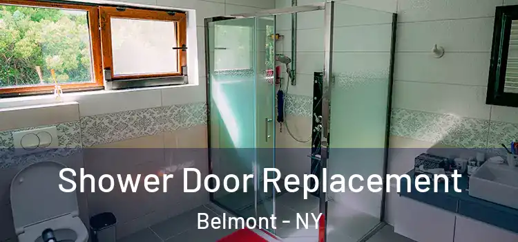Shower Door Replacement Belmont - NY