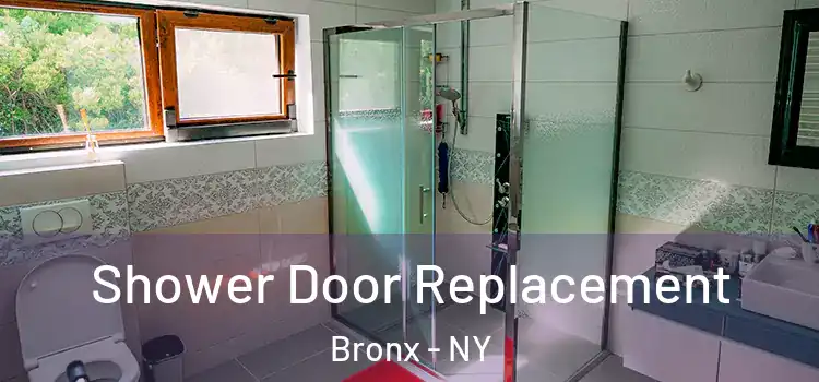  Shower Door Replacement Bronx - NY