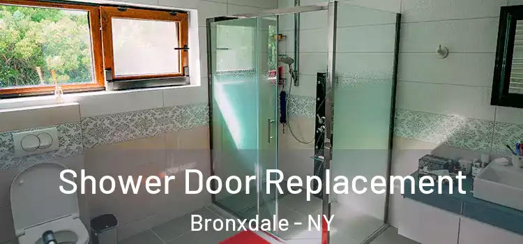 Shower Door Replacement Bronxdale - NY