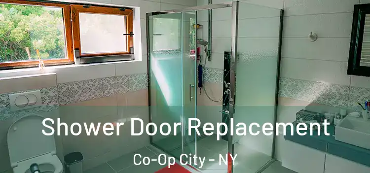  Shower Door Replacement Co-Op City - NY