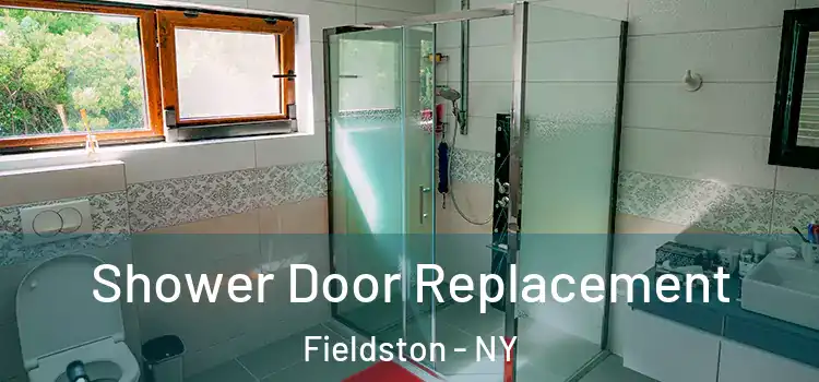 Shower Door Replacement Fieldston - NY
