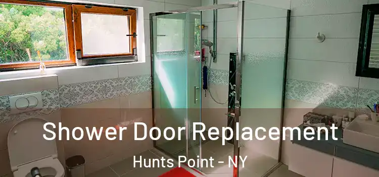 Shower Door Replacement Hunts Point - NY