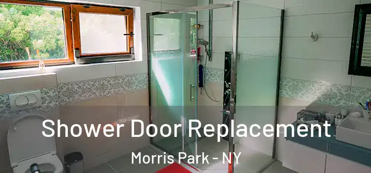 Shower Door Replacement Morris Park - NY