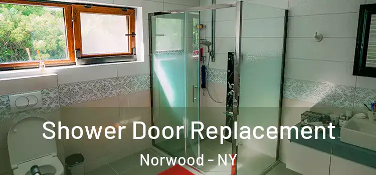  Shower Door Replacement Norwood - NY