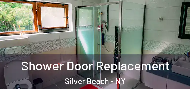 Shower Door Replacement Silver Beach - NY