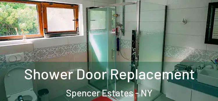 Shower Door Replacement Spencer Estates - NY