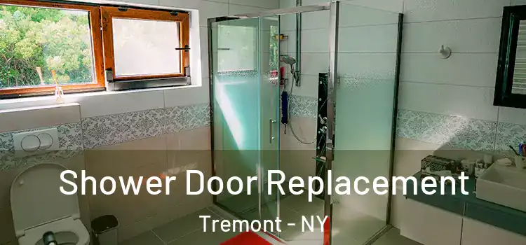 Shower Door Replacement Tremont - NY
