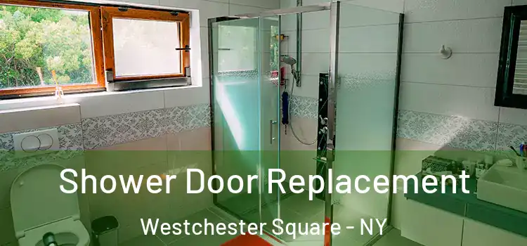  Shower Door Replacement Westchester Square - NY