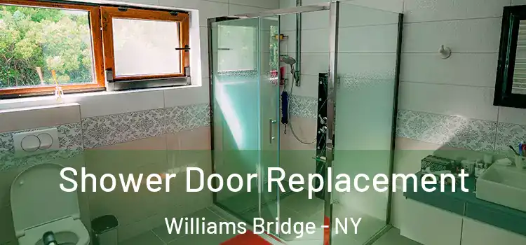Shower Door Replacement Williams Bridge - NY