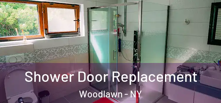 Shower Door Replacement Woodlawn - NY