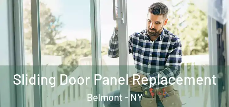  Sliding Door Panel Replacement Belmont - NY