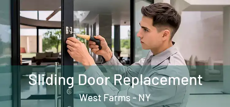  Sliding Door Replacement West Farms - NY