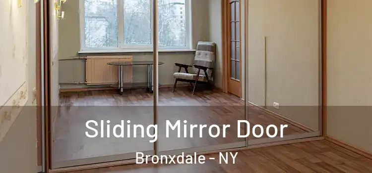  Sliding Mirror Door Bronxdale - NY