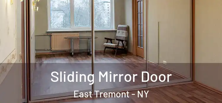  Sliding Mirror Door East Tremont - NY