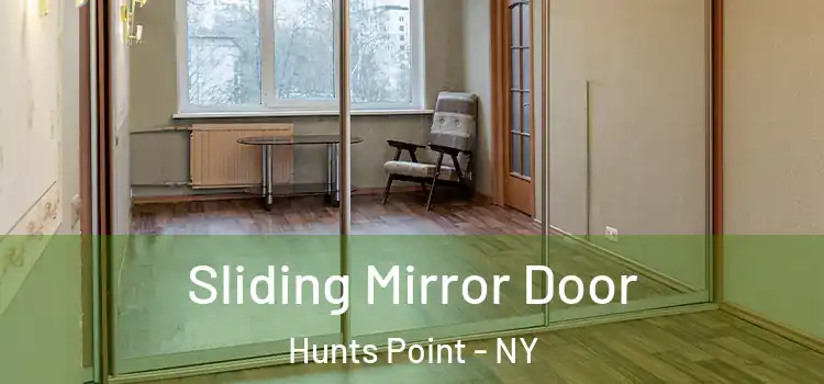  Sliding Mirror Door Hunts Point - NY