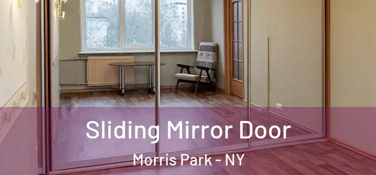  Sliding Mirror Door Morris Park - NY