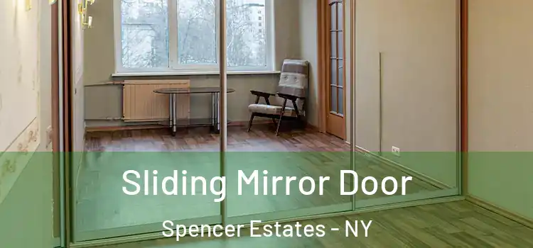 Sliding Mirror Door Spencer Estates - NY