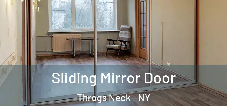  Sliding Mirror Door Throgs Neck - NY