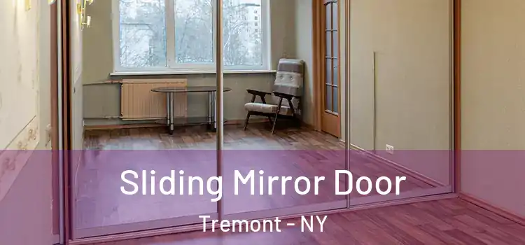  Sliding Mirror Door Tremont - NY