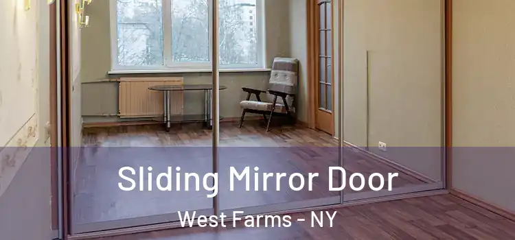  Sliding Mirror Door West Farms - NY
