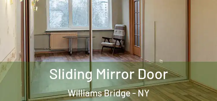  Sliding Mirror Door Williams Bridge - NY