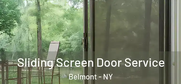 Sliding Screen Door Service Belmont - NY