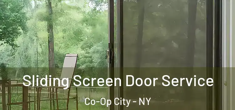  Sliding Screen Door Service Co-Op City - NY