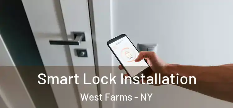 Smart Lock Installation West Farms - NY