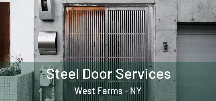  Steel Door Services West Farms - NY