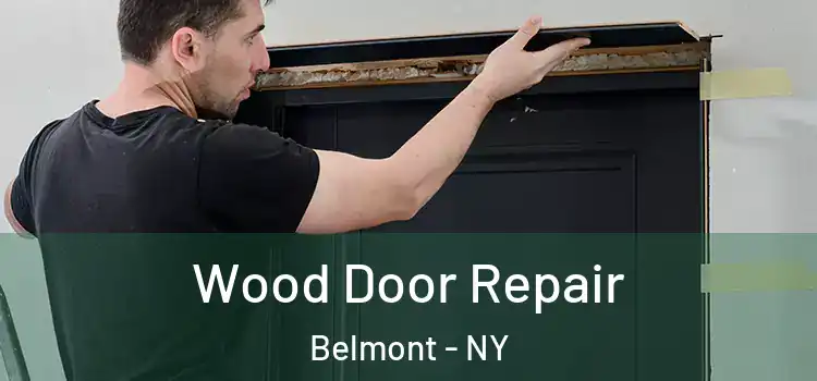  Wood Door Repair Belmont - NY