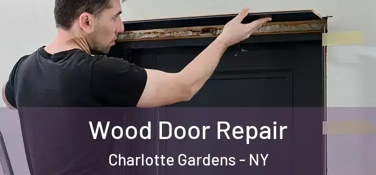  Wood Door Repair Charlotte Gardens - NY