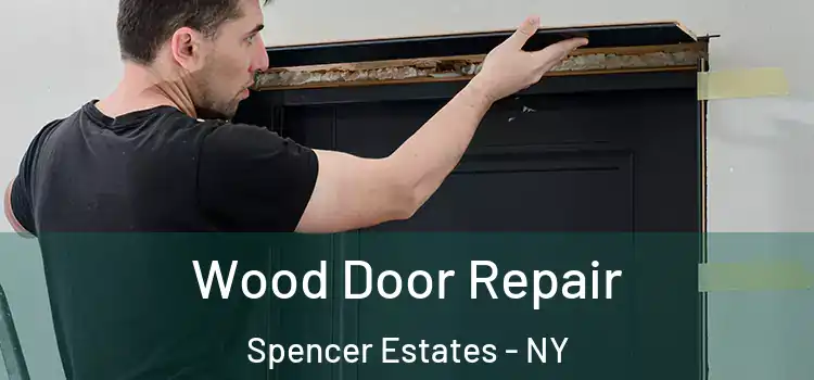  Wood Door Repair Spencer Estates - NY